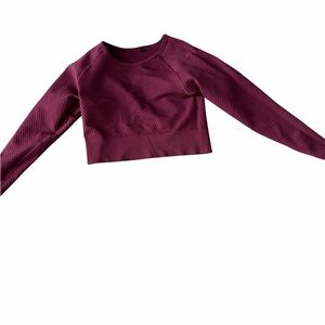 Balance Collection Burgundy-Dark Purplish Textured Crop Top